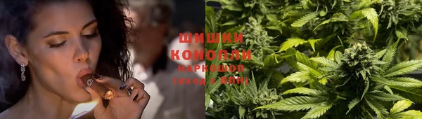 гидропоника Вяземский