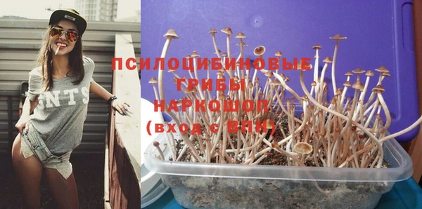 гидропоника Вяземский