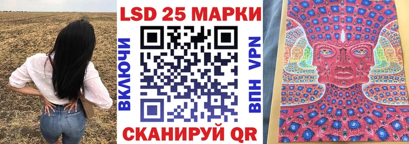 Купить где  Северская  Марки N-bome 1,8мг 