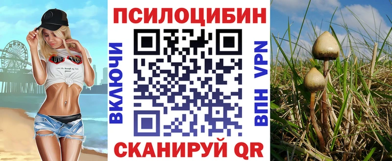 Галлюциногенные грибы Cubensis  Купить  Северская 