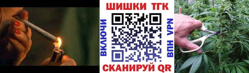 Купить где  Северская  Бошки Шишки Amnesia 